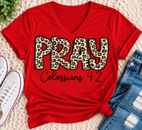 Pray Colossians 4:2 Graphic Apparel