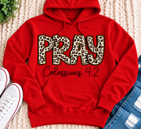 Pray Colossians 4:2 Graphic Apparel