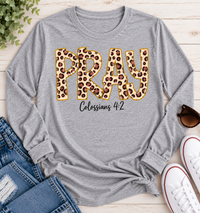 Pray Colossians 4:2 Graphic Apparel