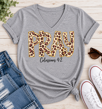 Pray Colossians 4:2 Graphic Apparel