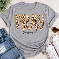 Pray Colossians 4:2 Graphic Apparel