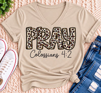 Pray Colossians 4:2 Graphic Apparel