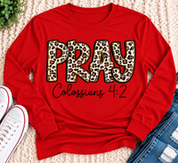 Pray Colossians 4:2 Graphic Apparel