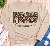 Pray Colossians 4:2 Graphic Apparel
